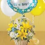 Baby Boy 8