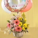 Baby Girl 9