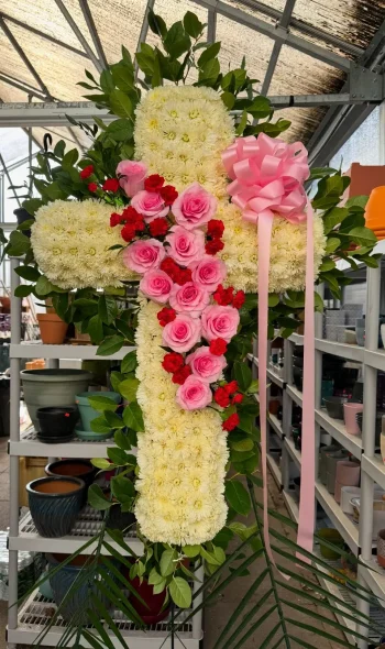 Cross 6