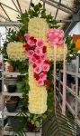 Cross6