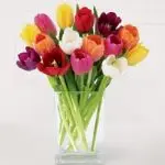 Multi Tulip Vase