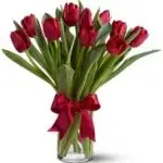 Red Tulip Vase