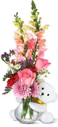 Roses 1