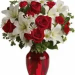 Roses 4
