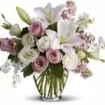 Roses 7