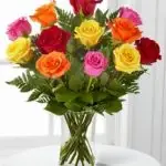 Roses Multi 12
