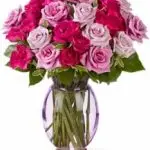 Roses Multi Pinks 12