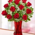 Roses Red 12