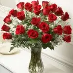 Roses Red 24