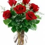 Roses Red 6