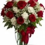 Roses Red & White 24