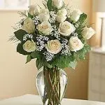Roses White 12