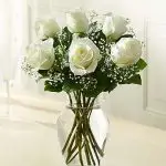 Roses White 6
