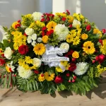 SymCasket12