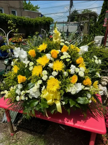 Sym Casket 36