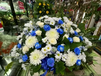 Sym Casket 38