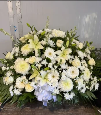 Sym Casket 43
