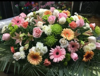 Sym Casket 50