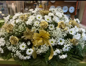 Sym Casket 55
