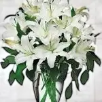 Sym Vase 5