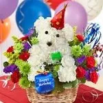 Birthday 1