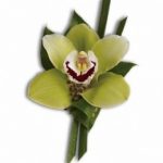 Boutonniere 10