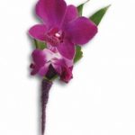Boutonniere 11